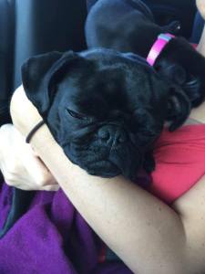 11947426_10109353983484004_3102676848411508153_n